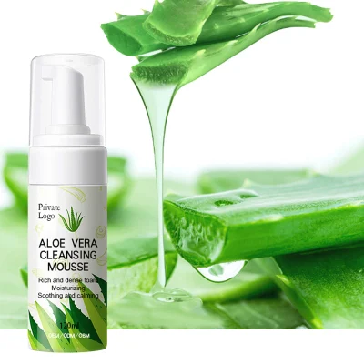 Personalizza il logo Detergente all'aloe vera Mousse per la pulizia profonda Schiuma per il controllo dell'olio Prodotto a base di erbe per la cura della pelle